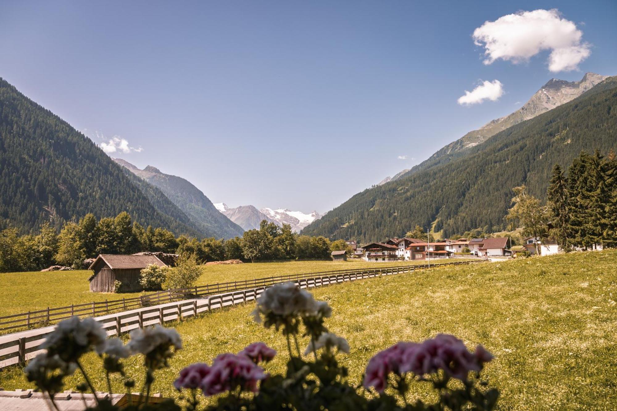 Pensión Alpenhaus Monte 3*